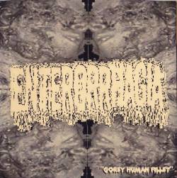 Enterorrhagia : Gorey Human Fillet